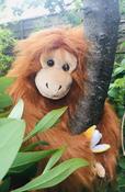 The Puppet Company Large Orangutan Puppet image