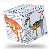 Dinosaur Cube Book image