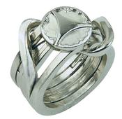 Hanayama Cast Ring II Level 5 Puzzle image