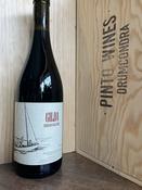 Gilda Bairrada Tiago Teles – Buy Wine Online | Pinto Wines