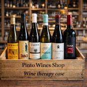 Wine Therapy Case – Buy Wine Online | Pinto Wines