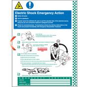 Electric shock emergency action wall panel