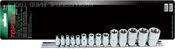 14PC Star Socket Rail Set E4 - E24(QGAAR1402) image