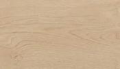 Evoque 20 x 120 Floor &amp; Wall Tile - Arena 20x 120 image