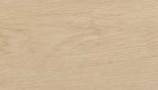 Evoque 20 x 120 Floor &amp; Wall Tile - Arce 20 x 120 image