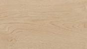 Evoque 20 x 120 Floor &amp; Wall Tile - Arena 20x 120 image