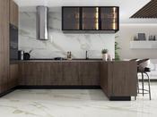 Calacata Gold Floor &amp; Wall Tile image