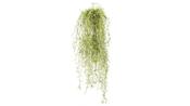 Artificial Spanish Moss - 80cm