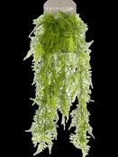 Artificial Asparagus Fern - 80cm