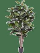 Artificial Ficus Elastica Robusta - 170cm
