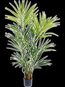 Artificial Kentia Palm - 170cm