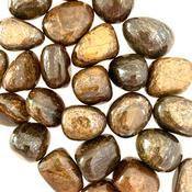 Bronzite tumbled crystal Trauma Healing  50-70mm