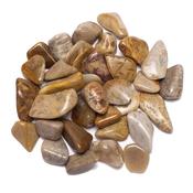Agatized Coral Natural Stone Tumbled Crystal - Inner Peace - Trauma Therapy image