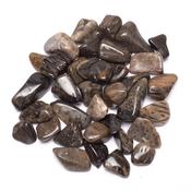 Palmwood Tumbled Stones