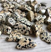 Dalmatian Jasper Crystal