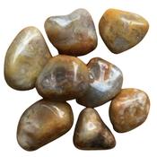 COPROLITE FOSSIL DINOSAUR DUNG POOP ANCIENT image