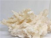 Coralloid Aragonite Crystal Cluster