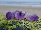 Amethyst Crystal Druzy point crystal -Tranquility