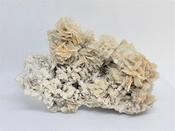 Rare! Barite Cluster, Crystal SPAIN image