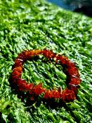 Amber bracelet Natural Baltic Amber Certified image