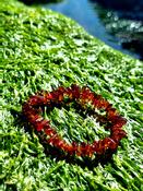 Amber bracelet Elastic (Natural, Certified) image