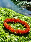 Amber Bracelet Elastic (Natural Certified Amber) image