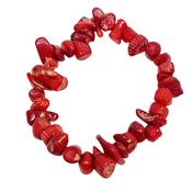 Sea Bamboo Coral Chip Bracelet Positivity Wisdom Happiness image
