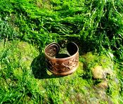 Copper adjustable ring image