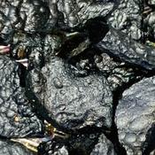 Tibetan Tektite Crystal Nugget Specimen Rough image
