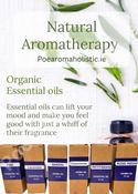 Essential Oils - Organic Natural Pure Absolute 10ml image