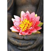 Postcard Lotus image