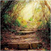 Greeting cards The road ahead image