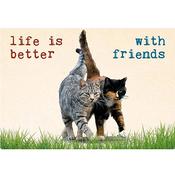 Postcards Life is better. image