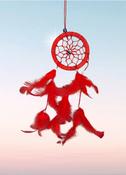 Evil Eye Dreamcatcher Small image