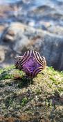 Amethyst Crystal Ring Wire-wrapped Copper image