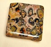 Radiant Turritella Agate Natural Crystal image