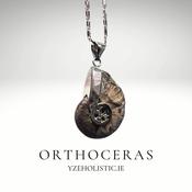 Orthoceras Fossil Pendant Necklace image
