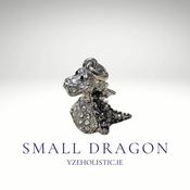 Small  Silver Dragon Pendant Necklace image