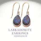 Labradorite 925 Sterling Silver Crystal Earrings image