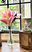OIL WAX BURNER WHITE ANGEL CERAMIC TEA LIGHT image