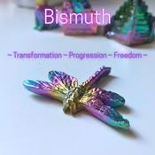 Dragonfly Bismuth Crystal Carving Rainbow Multicolour image