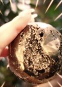 Pyrite Sphere Large Natural Stone Gold Crystal image
