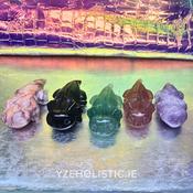 Axolotl Amphibian Stone Carvings Animal Crystal Carving Figurine image