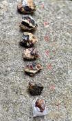 GARNET FACETED CUT SOLID NATURAL STONE HEXAGONAL SPECIMEN POLISHED  image