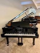 STEINHOVEN SG183 GRAND 6' - Click to listen! image