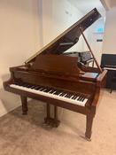STEINHOVEN SG 148 Baby Grand - SOLD 26/01/2026