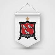 Pennants