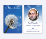 Option 3 - Wallet Cards
