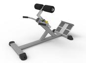 Raze Hyperextension Bench