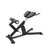 HYPEREXTENTION BENCH PROUD CHAMPION image